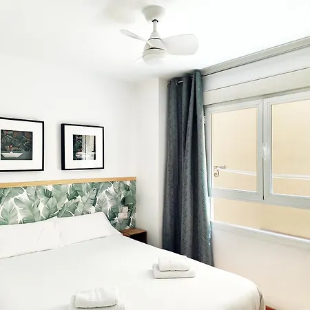 Flats Friends Nave Appartement Valence