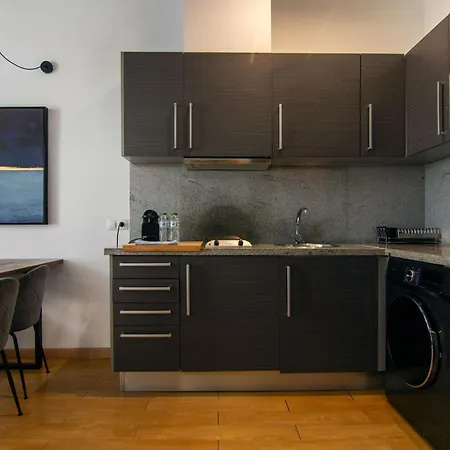 公寓 巴伦西亚维科美公寓