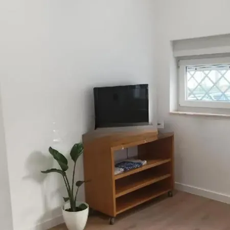 Fondo De Bikini Apartamento