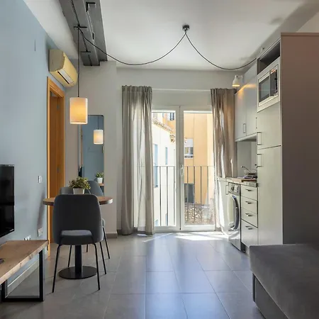 巴伦西亚维科美公寓 *