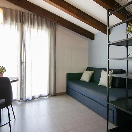 公寓 巴伦西亚维科美公寓 *