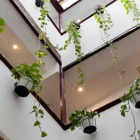 유스 바이 핏업