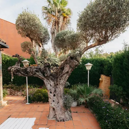Chalet, Rodeada De Naturaleza Piscina A Doce Klm De Y 7 Del Aeropuerto