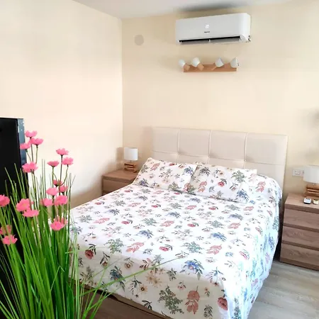 Apartment Acogedor En Centro Perfecta Ubicacion Valencia