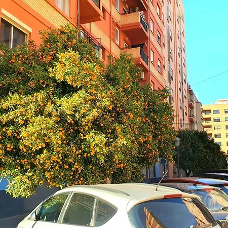 Nuevo Costa Del Alma * Valencia