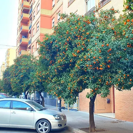 Apartment Nuevo Costa Del Alma