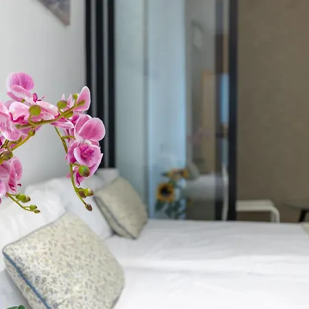 Mediterraneo By Neohotels-centro 8 Min By Metro Appartamento *