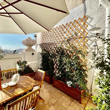 Luxury Penthouse Center *