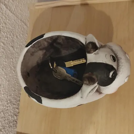 Daire Leticia Valensiya