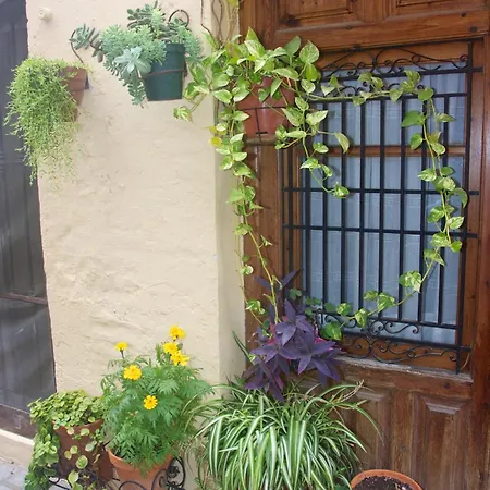 Loft Bajo Vivienda Centro De Valencia-carmen 瓦伦西亚