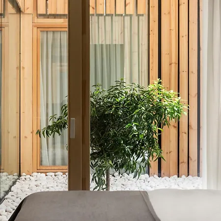 Maestro Sosa Appartamento Valenza