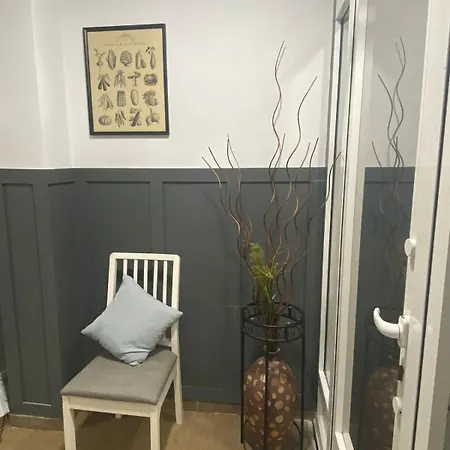 Optimus Comfort Guest house