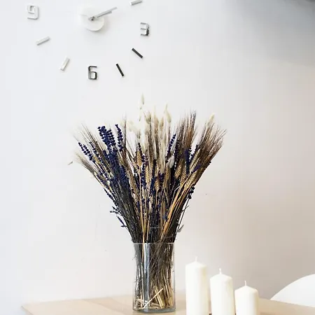 Apartman Cosy Duplex Centro