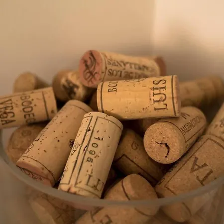 Centrico Y Reformado Con Estilo Valencia