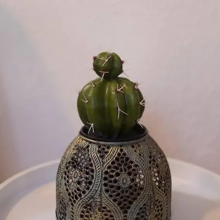 Tranquilo Y Acogedor En El Centro De La Ciudad * Walencja