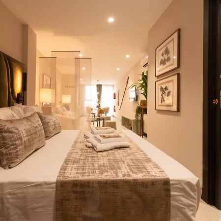 Md Nou Mestalla Apartamento