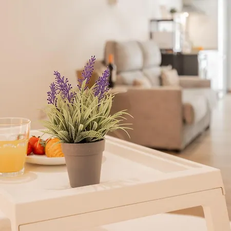 Apartment Visitval Flats 1 *