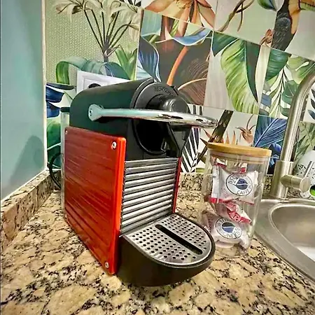 Artistic Flat Next To Ruzafa Welcome To The Jungle Apartamento Valencia