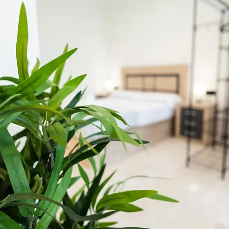 Apartment Vera Garden By Concept Flats *
