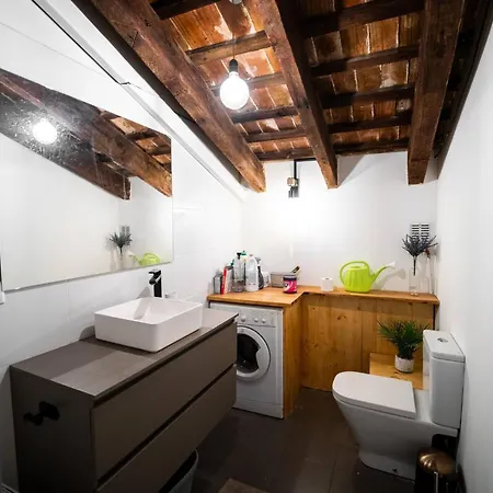 Apartment Duplex Loft And Office 140m2 A 70m2 Terrace *