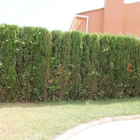 La Casa Del Olivo En Montserrat -