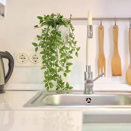 Elegante En Plaza Del Carmen F2 *