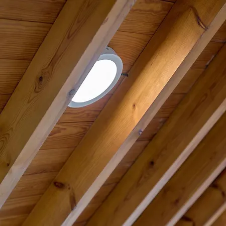 Soleado En Plaza Del Carmen Valência