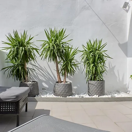 Sunny Cozy Penthouse With A Terrace At Plaza Del Carmen *