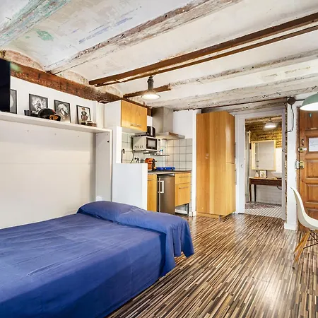 Loft Con Terraza En El Centro