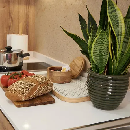 Apartman Loft 9