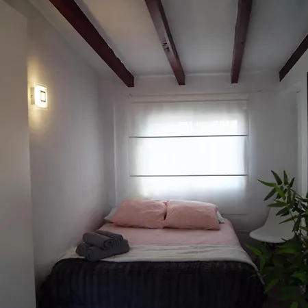 Bolseria Centricos En El Carmen Apartment Valencia