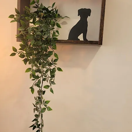 公寓 Loft Con Encanto *