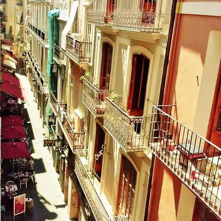 Cozy Flat In Old Town Valencia