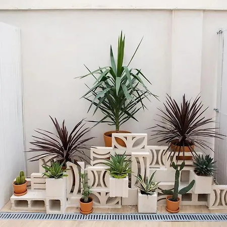 Con Terraza Junto A Ruzafa