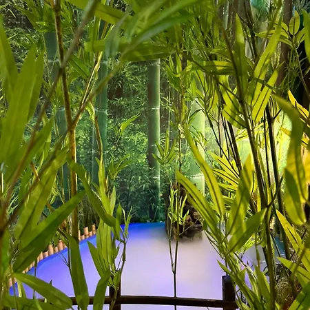 The Pod Village 旅馆 *