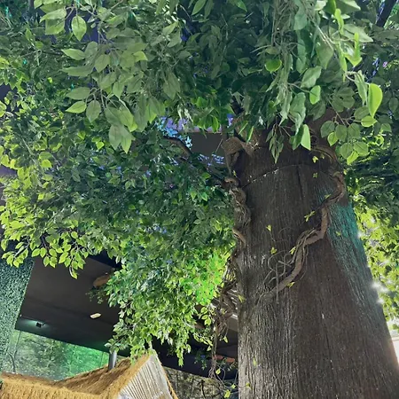 The Pod Village *