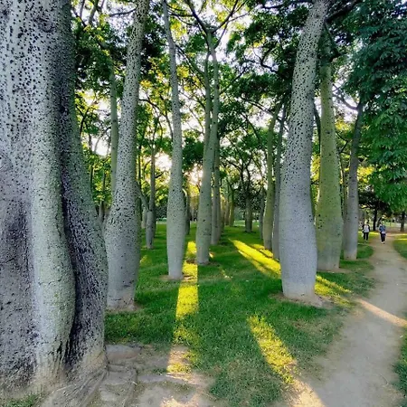 Charming In The Center バレンシア