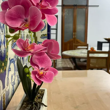 Casa Del Cabanal La Playa Azul Cobalto *