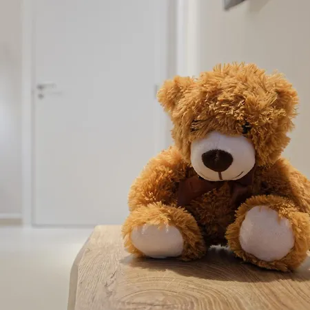 Apartament Osito Hub - Esteban Ballester *