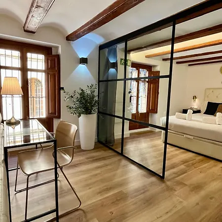 Apartament Werentvlc - Encantador Loft Casco Antiguo *