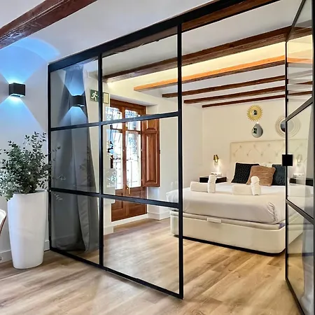 Werentvlc - Encantador Loft Casco Antiguo Valenza