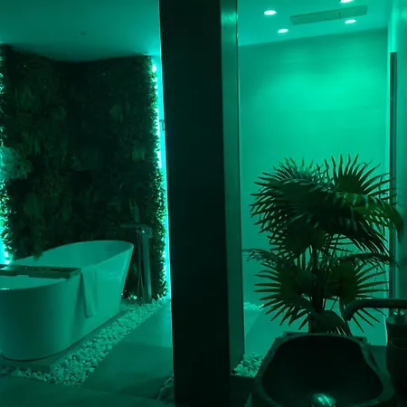 Amplio Estudio En Valencia *