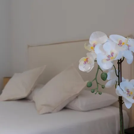 Apartman Lo - Loft - Modernos Y Acogedores Estudios Cerca A Artes Y Ciencias
