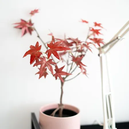 Pv Loft - Modernos Y Cómodos Estudios Cerca A Russafa