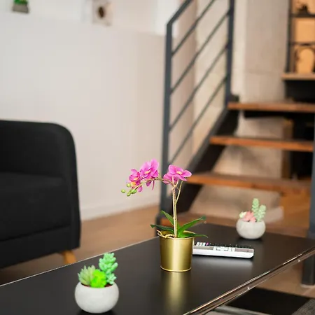 Pv Loft - Modernos Y Cómodos Estudios Cerca A Russafa *