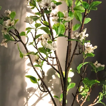 Flats - Avenida Baleares Appartamento