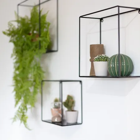 Dormforyou Ciudad De Ciencias Terraza