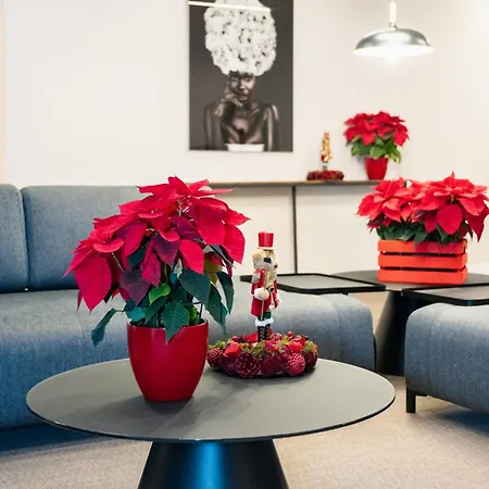 Dorm4you Arena 2 فالنسيا