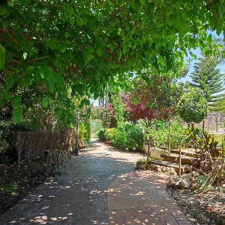 Feriehus Les Moreres A Space For Tranquility Valencia