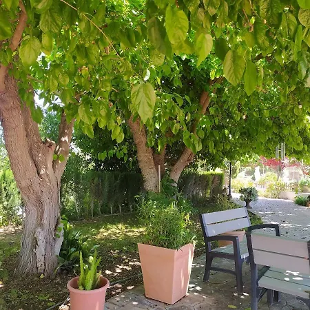 Les Moreres A Space For Tranquility Feriehus Valencia